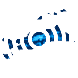 Density fingerprint of Kochi