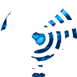 Density fingerprint of Wakayama