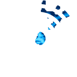 Density fingerprint of Vladivostok
