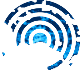 Density fingerprint of Naples