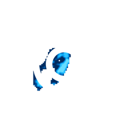 Density fingerprint of Macapá
