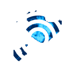 Density fingerprint of Manaus