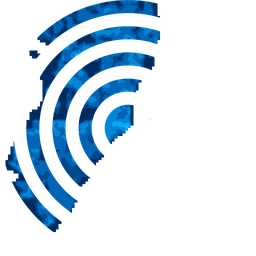 Density fingerprint of Miami