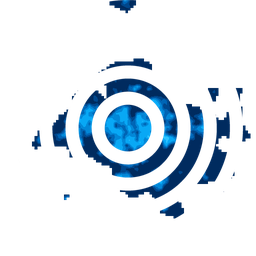 Density fingerprint of Wichita