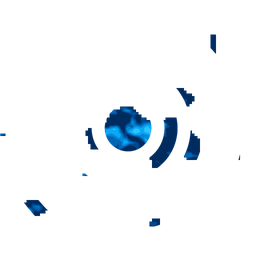 Density fingerprint of Riga