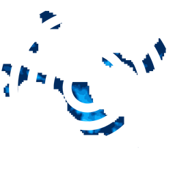 Density fingerprint of Corpus Christi