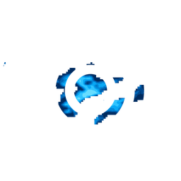 Density fingerprint of Saratov