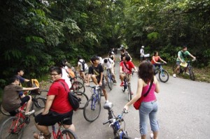 Lost in Ubin