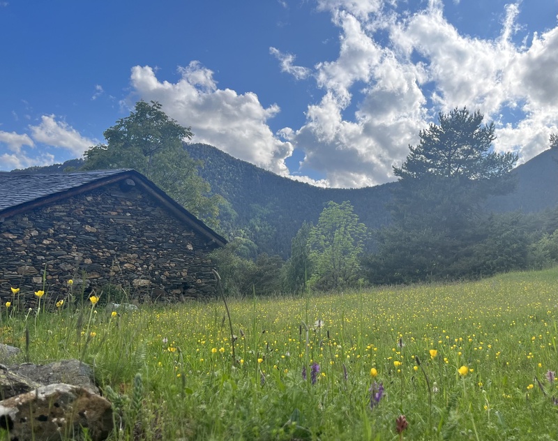 Excursion and gastronomic meal in a high mountain hut