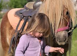 Paseos en poni