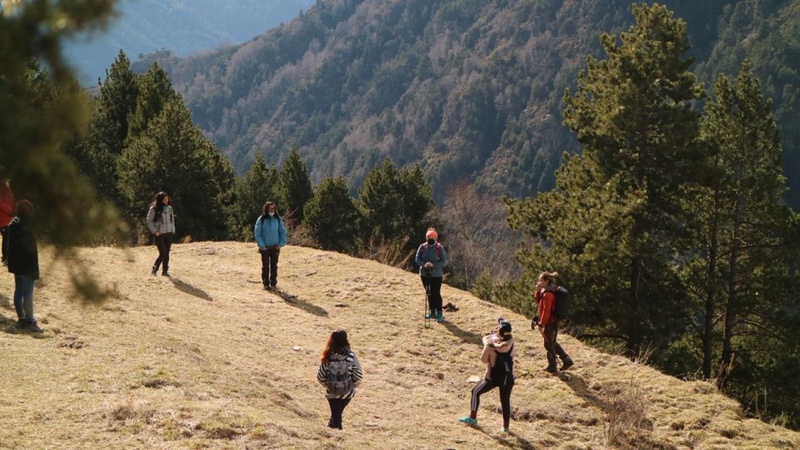 Forest bathing experience