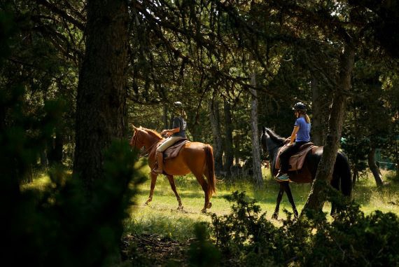 Ruta guiada a caballo