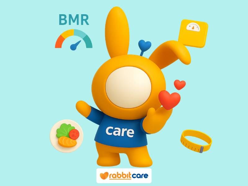 What is BMR calculation? What are its benefits, and why should it be calculated?