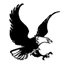 Achille Public Schools logo