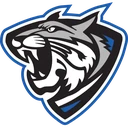 Anna Jonesboro CHSD 81 logo