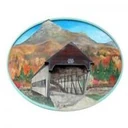 Town of Albany logo