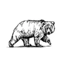 City of Anderson logo