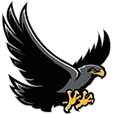 Andrew P. Hill High logo
