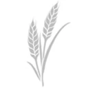 Town of Ann Arbor charter logo