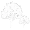 Borough of Applewold logo