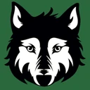 Allegiance STEAM Academy - Thrive District logo