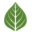 Aspen View Academy logo