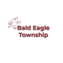 Town of Bald Eagle logo
