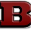 Bayonne School District logo