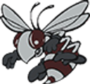 Byron-Bergen Central School District logo