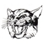 Beaver Creek Elementary District logo
