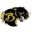 Baldwin Community Schools logo