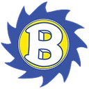 Brooklyn City Schools logo