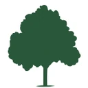 City of Birmingham logo