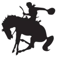 Big Pasture Public Schools logo