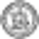 Bloomfield Township Ha logo