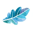 Blue Oak Charter District logo