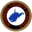 Wyoming County School District logo