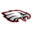 Brady Public Schools logo