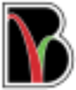 Bridgevalley Community & Technical College logo