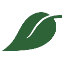 Brooklyn Prospect Charter School-Csd 13 logo