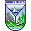 Town of Bruce Mines logo
