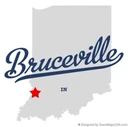 Town of Bruceville logo