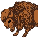 Town of Buffalo logo