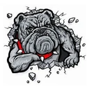 Butte Valley High logo