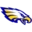 Canton School District 41-1 logo