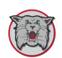 Canton Local Schools logo