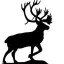 City of Caribou logo