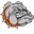 Carney Public Schools logo