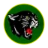 Craig City School District logo