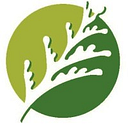 City of Cedar Park city logo